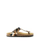 Sandales en cuir Blanca Big Buckle Cow brunes