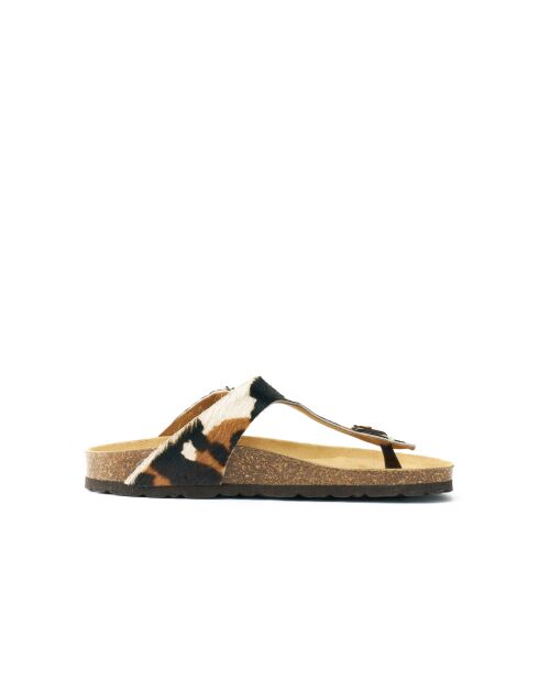 Sandales en cuir Blanca Big Buckle Cow brunes