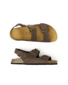 Sandales en daim Carlos brunes