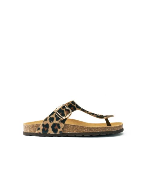 Sandales en cuir Blanca Big Buckle Leopardo brunes