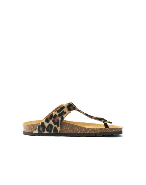 Sandales en cuir Blanca Big Buckle Leopardo brunes