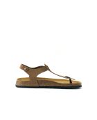 Sandales en daim Leon brunes