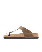 Sandales en cuir Aliz bronzage