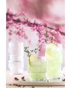 Ensemble de 6 verres transparent - 400 ml