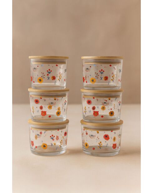 Ensemble de boîtes de rangement transparent - 12 pièces