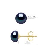 Boucles d'Oreilles en Or Jaune Perles de Culture d'Eau Douce Boutons noires