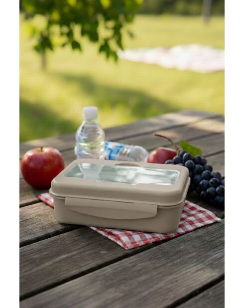 Boîte de rangement gris - 750 ml