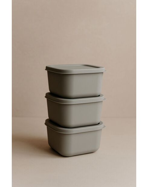 Ensemble de 3 boîtes de rangement gris - 280 ml