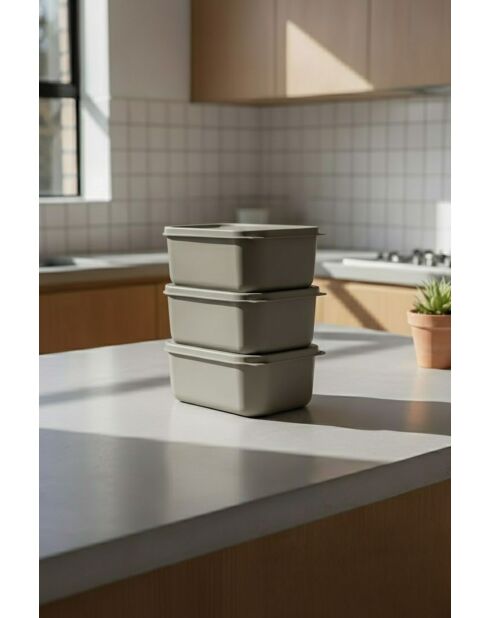 Ensemble de 3 boîtes de rangement gris - 280 ml