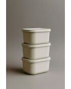 Ensemble de boîtes de rangement écru - 3 pièces