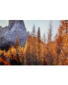 Impression sur toile laquée en bois de pin, toile et plastique Lake avec cadre multicolore – 90x4x60 cm