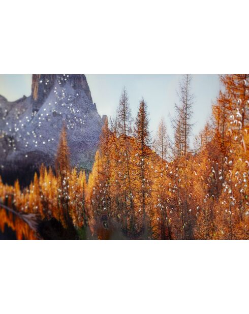 Impression sur toile laquée en bois de pin, toile et plastique Lake avec cadre multicolore – 90x4x60 cm