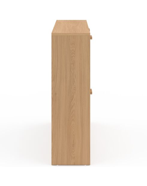 Meuble chaussures Faustine 2x2 portes - 24 paires bois - 100x23.5x80 cm