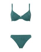 Bragas Brooke verde bosque