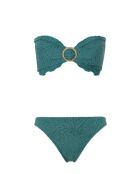 Bragas Brooke verde bosque