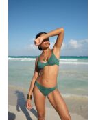 Bragas Brooke verde bosque