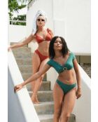 Bragas Brooke verde bosque