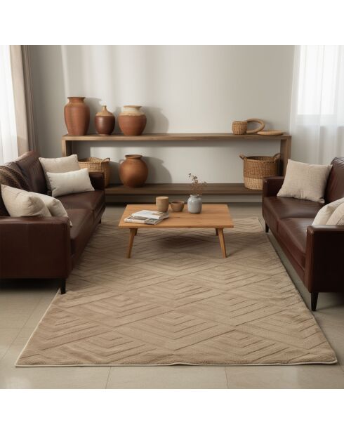 Tapis Dpelus marron - 120x200 cm