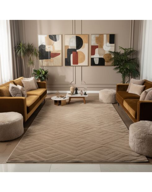 Tapis Dpelus marron - 120x200 cm