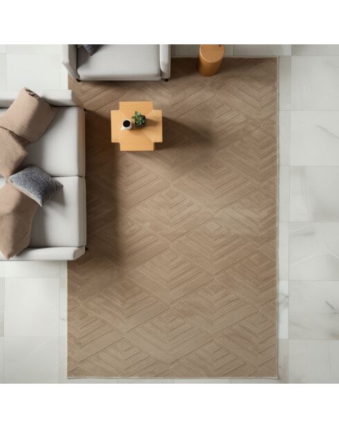 Tapis Dpelus marron - 120x200 cm