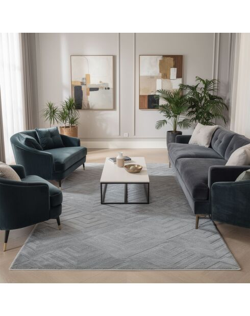 Tapis Dpelus gris