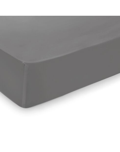 Drap-housse satin de coton Uni Gris clair
