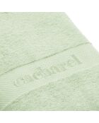 Set de 4 serviettes d'invitées Vert prairie - 4 x (30 x 30 cm)