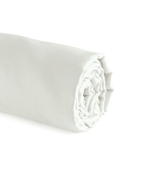 Drap-housse satin de coton Uni Vert thym