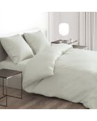 Drap-housse satin de coton Uni Vert thym