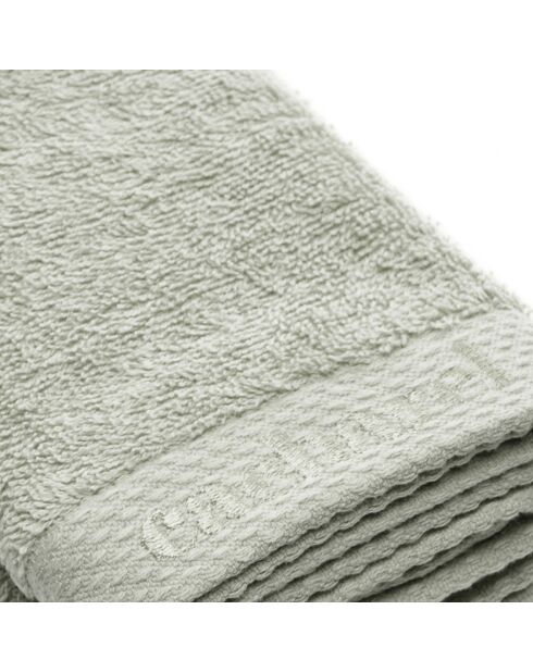 Set de 4 serviettes d'invitées Vert amande - 30 x 30 cm