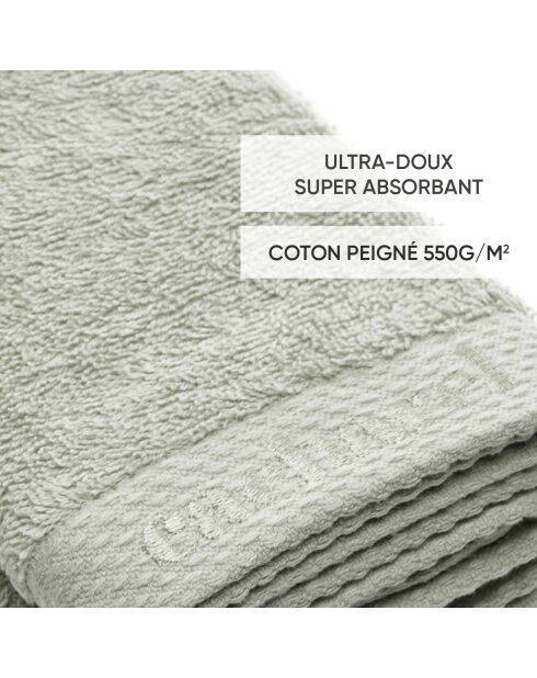 Set de 4 serviettes d'invitées Vert amande - 30 x 30 cm