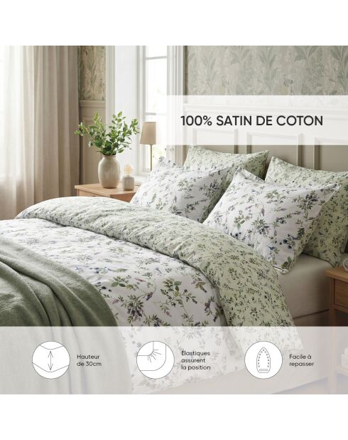 Drap-housse satin de coton - Uni Vert clair
