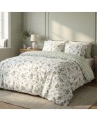 Drap-housse satin de coton - Uni Vert clair