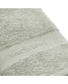 Set de 2 serviettes Vert amande - 50 x 100 cm