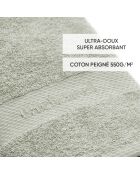 Set de 2 serviettes Vert amande - 50 x 100 cm
