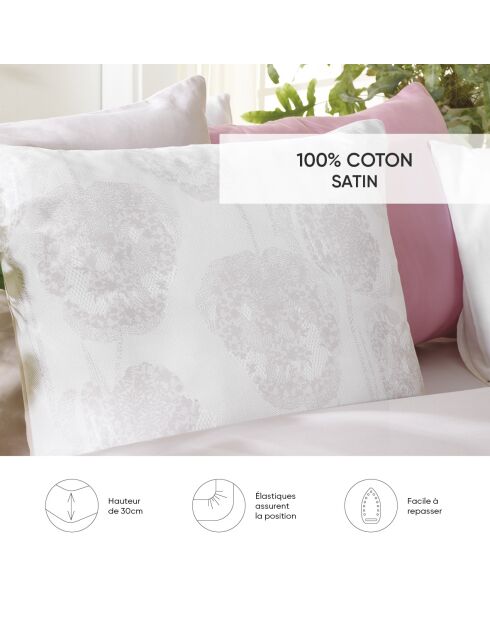 Drap-housse satin de coton Uni Taupe