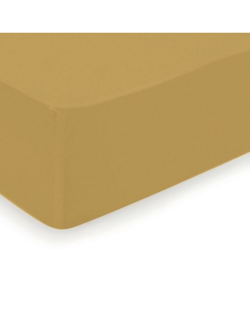 Drap-housse satin de coton Uni Jaune