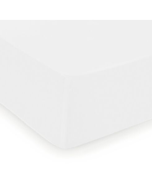 Drap-housse satin de coton Uni Blanc
