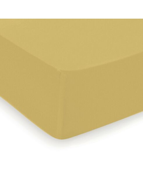 Drap-housse satin de coton Uni Ocre
