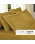 Taie d'oreiller satin de coton Uni 1 baratta Jaune 01