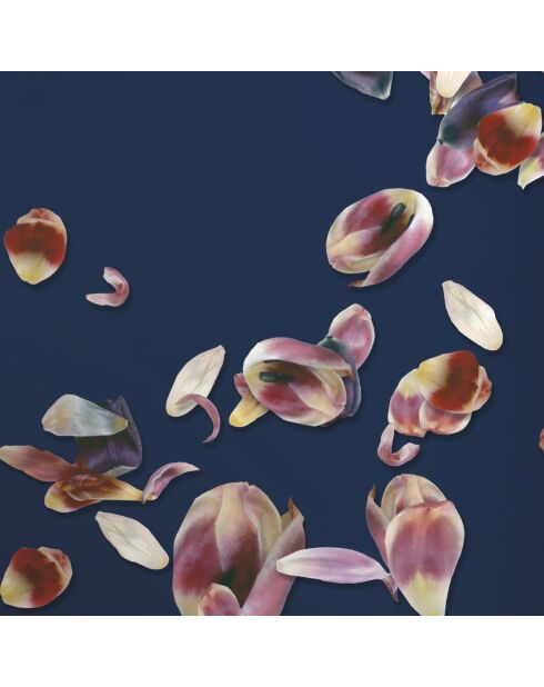 Taie d'oreiller satin de coton Aurore Rose - 50 x 60 cm
