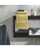 Tapis de bain Vert sauge - 60 x 100