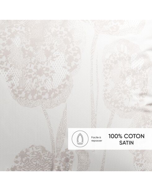 Set de 2 taies d'oreiller satin de coton Lace Taupe - 50 x 70 cm