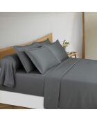 Parure drap plat + drap-housse + taies rectangles satin de coton - Uni 1 baratta Gris 02