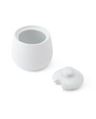 Tarro de miel blanca - 250 ml