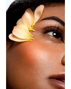 Feutre à sourcils + Brow Plume Perfection marron 2