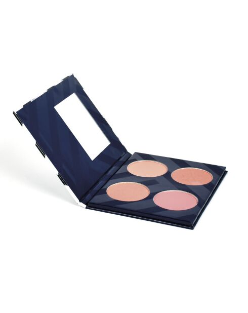 Doppio duo di rosa amour/diamante rosa/diamante rosa/pesca Melba/fard albicocca