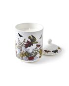 Bougie parfumée en pot de porcelaine Jardin D'hiver  Figuier - 315 g