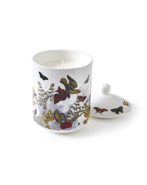Bougie parfumée en pot de porcelaine Jardin D'hiver  Figuier - 315 g