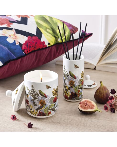 Bougie parfumée en pot de porcelaine Jardin D'hiver  Figuier - 315 g